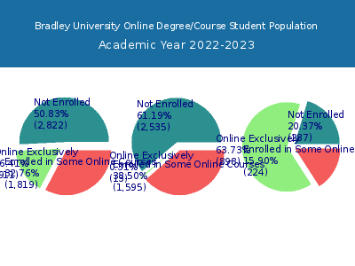 Bradley University 2023 Online Student Population chart