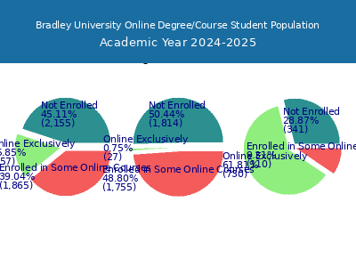Bradley University 2025 Online Student Population chart