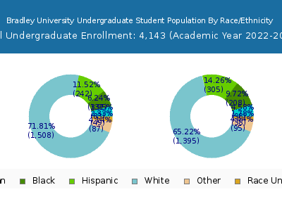 Bradley University 2023 Undergraduate Enrollment by Gender and Race chart