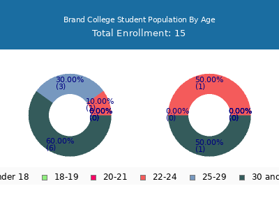 Brand College 2024 Student Population Age Diversity Pie chart