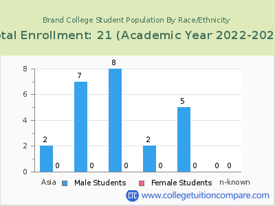 Brand College 2023 Student Population by Gender and Race chart