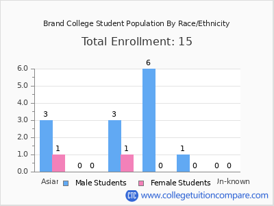 Brand College 2025 Student Population by Gender and Race chart