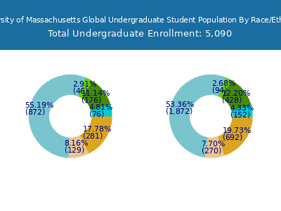 University of Massachusetts Global 2025 Undergraduate Enrollment by Gender and Race chart