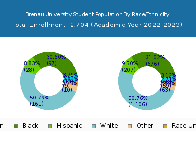 Brenau University 2023 Student Population by Gender and Race chart