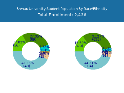 Brenau University 2025 Student Population by Gender and Race chart