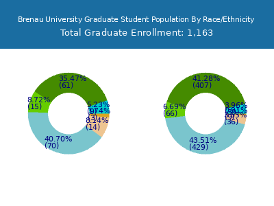 Brenau University 2025 Graduate Enrollment by Gender and Race chart