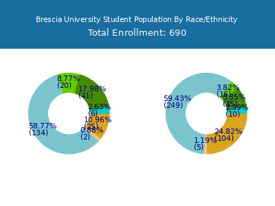 Brescia University 2025 Student Population by Gender and Race chart