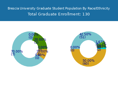Brescia University 2025 Graduate Enrollment by Gender and Race chart