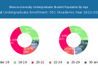 Brescia University 2023 Undergraduate Enrollment Age Diversity Pie chart
