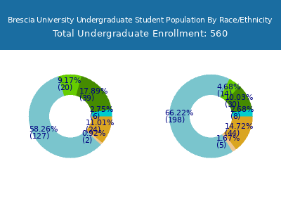 Brescia University 2025 Undergraduate Enrollment by Gender and Race chart