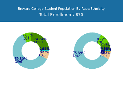 Brevard College 2025 Student Population by Gender and Race chart