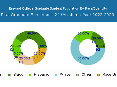 Brevard College 2023 Graduate Enrollment by Gender and Race chart