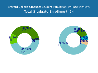 Brevard College 2025 Graduate Enrollment by Gender and Race chart