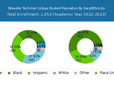 Brewster Technical College 2023 Student Population by Gender and Race chart