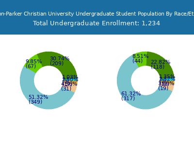 Brewton-Parker Christian University 2025 Undergraduate Enrollment by Gender and Race chart