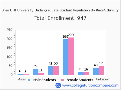 Briar Cliff University 2025 Undergraduate Enrollment by Gender and Race chart
