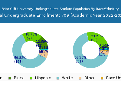 Briar Cliff University 2023 Undergraduate Enrollment by Gender and Race chart