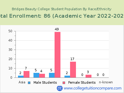Bridges Beauty College 2023 Student Population by Gender and Race chart