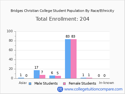 Bridges Christian College 2025 Student Population by Gender and Race chart