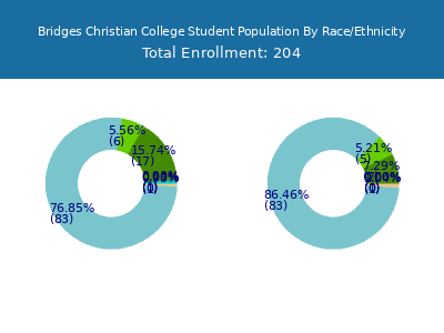 Bridges Christian College 2025 Student Population by Gender and Race chart