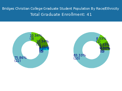 Bridges Christian College 2025 Graduate Enrollment by Gender and Race chart