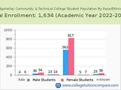 BridgeValley Community & Technical College 2023 Student Population by Gender and Race chart