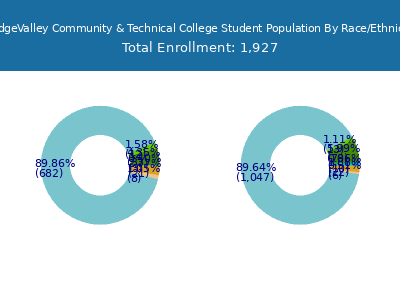 BridgeValley Community & Technical College 2025 Student Population by Gender and Race chart
