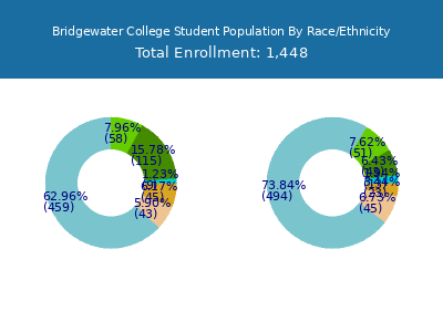 Bridgewater College 2025 Student Population by Gender and Race chart