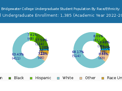 Bridgewater College 2023 Undergraduate Enrollment by Gender and Race chart