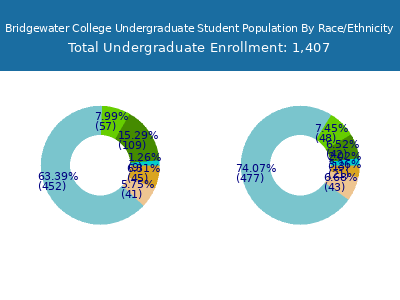 Bridgewater College 2025 Undergraduate Enrollment by Gender and Race chart