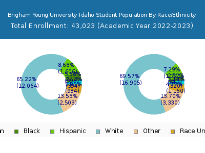 Brigham Young University-Idaho 2023 Student Population by Gender and Race chart
