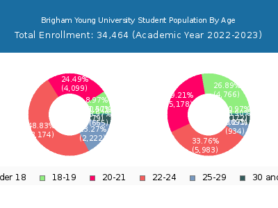 Brigham Young University 2023 Student Population Age Diversity Pie chart