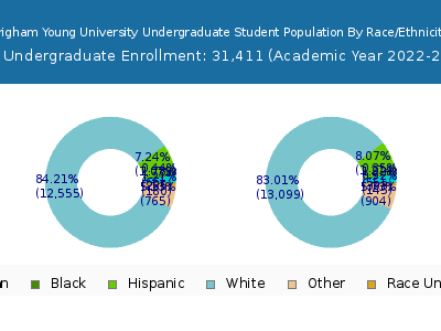 Brigham Young University 2023 Undergraduate Enrollment by Gender and Race chart