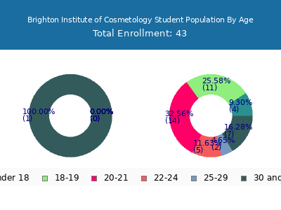 Brighton Institute of Cosmetology 2024 Student Population Age Diversity Pie chart
