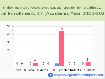 Brighton Institute of Cosmetology 2023 Student Population by Gender and Race chart