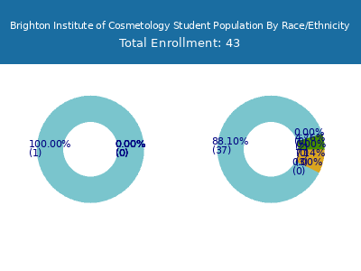 Brighton Institute of Cosmetology 2025 Student Population by Gender and Race chart
