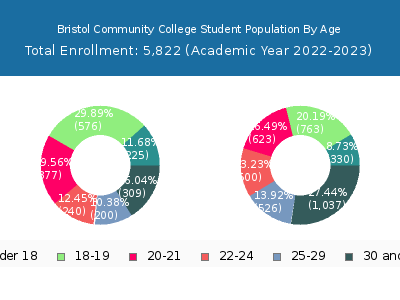 Bristol Community College 2023 Student Population Age Diversity Pie chart