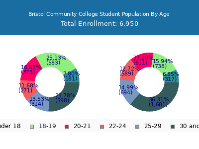 Bristol Community College 2025 Student Population Age Diversity Pie chart