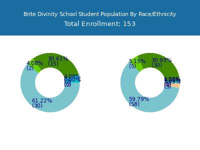 Brite Divinity School 2025 Student Population by Gender and Race chart