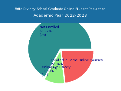 Brite Divinity School 2023 Online Student Population chart