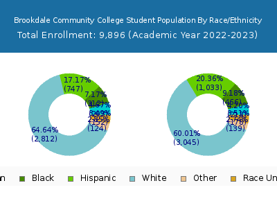 Brookdale Community College 2023 Student Population by Gender and Race chart