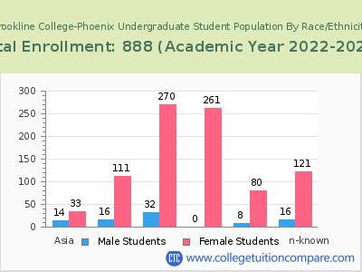 Brookline College-Phoenix 2023 Undergraduate Enrollment by Gender and Race chart