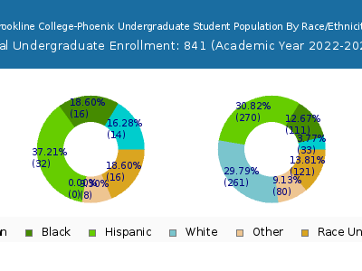 Brookline College-Phoenix 2023 Undergraduate Enrollment by Gender and Race chart