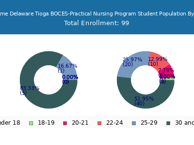 Broome Delaware Tioga BOCES-Practical Nursing Program 2024 Student Population Age Diversity Pie chart