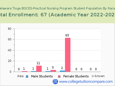 Broome Delaware Tioga BOCES-Practical Nursing Program 2023 Student Population by Gender and Race chart