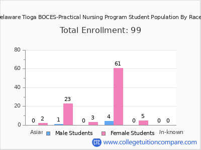 Broome Delaware Tioga BOCES-Practical Nursing Program 2025 Student Population by Gender and Race chart