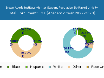 Brown Aveda Institute-Mentor 2023 Student Population by Gender and Race chart