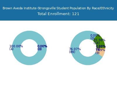 Brown Aveda Institute-Strongsville 2025 Student Population by Gender and Race chart