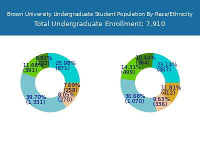 Brown University 2025 Undergraduate Enrollment by Gender and Race chart