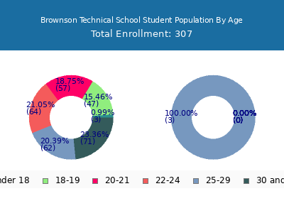 Brownson Technical School 2025 Student Population Age Diversity Pie chart
